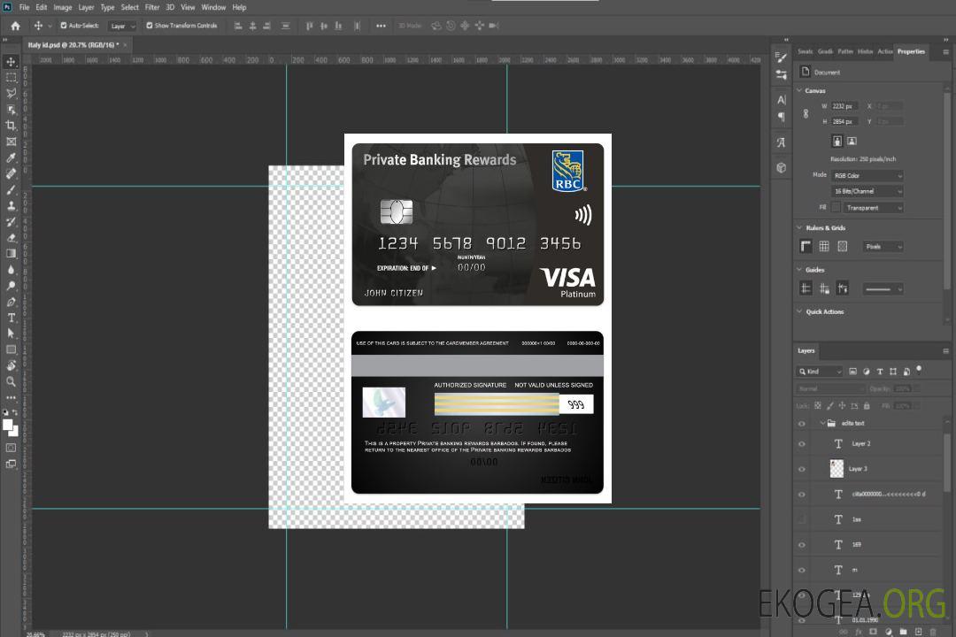 Carte noire visa-platine Barbados Private Bankking Rewards template